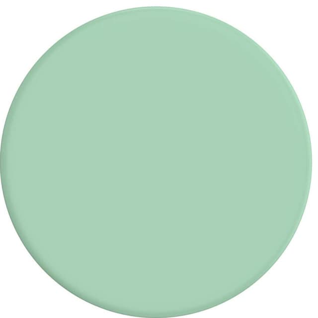 POPSOCKETS PopGrip Basic mobilgreb (pastel mint)