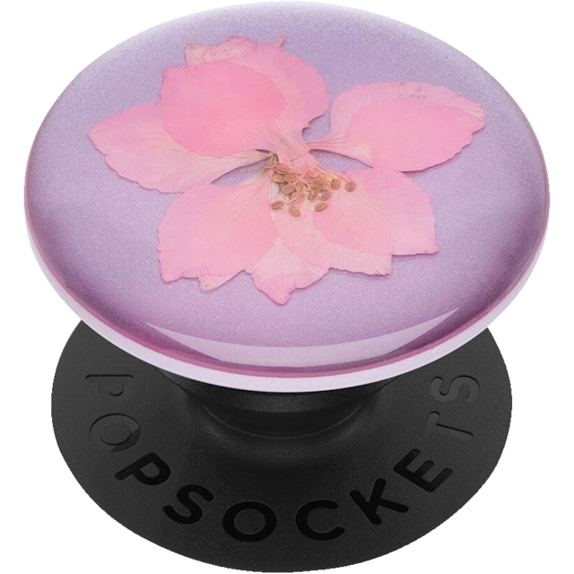 Popsockets Premium greb til mobile enheder (Pressed Flower Delphinium)