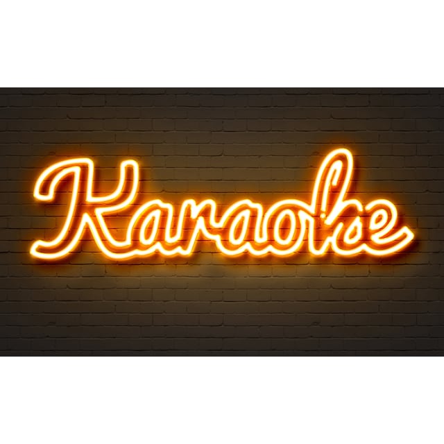 Karaoke (to jack-input) - JBL festhøjttaler