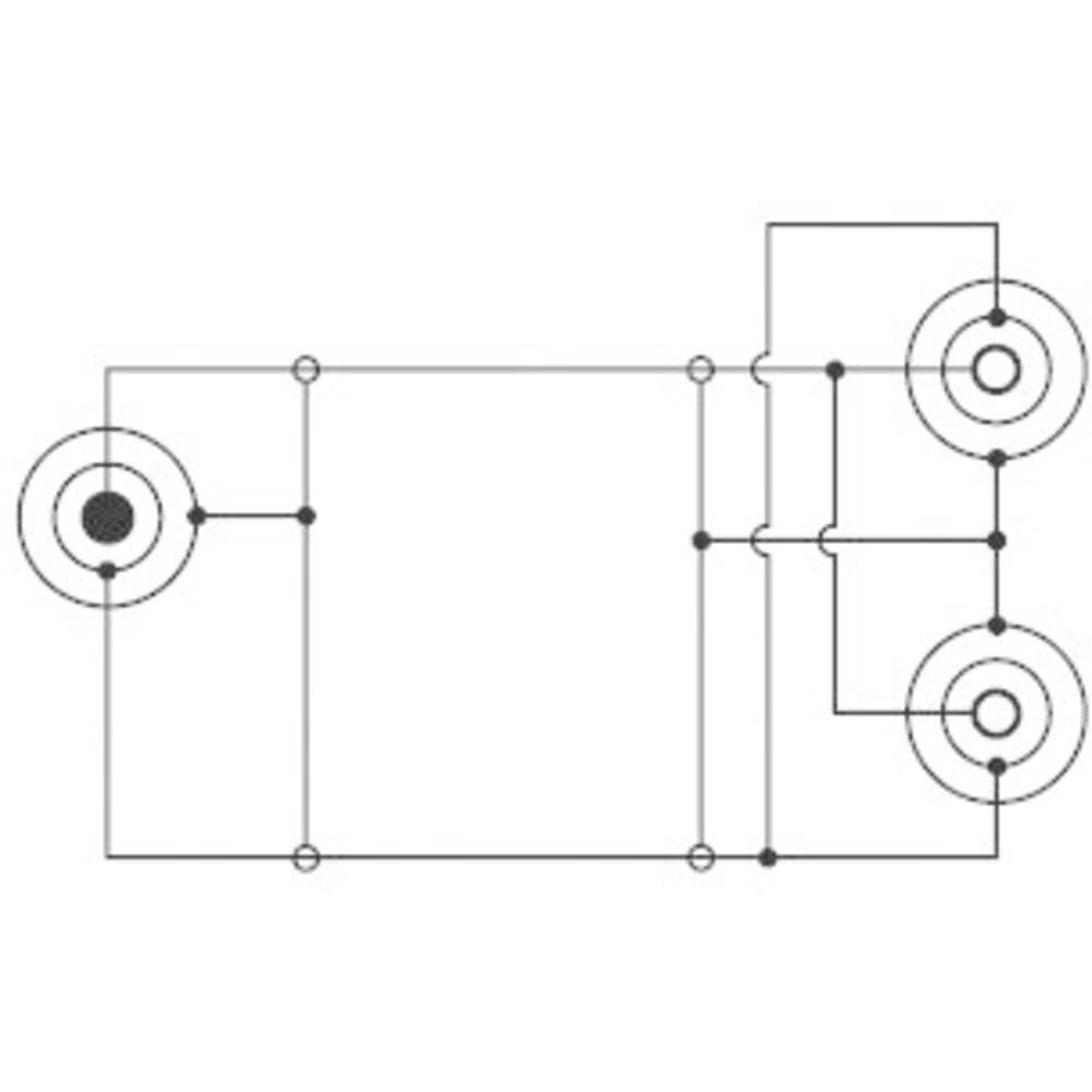 SpeaKa Professional SP-7870244 Audio Y-adapter 1 stk