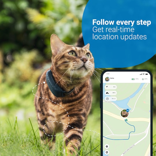 Tractive GPS tracker kat CAT LTE sporingsenhed til kæledyr (blå) |  Elgiganten