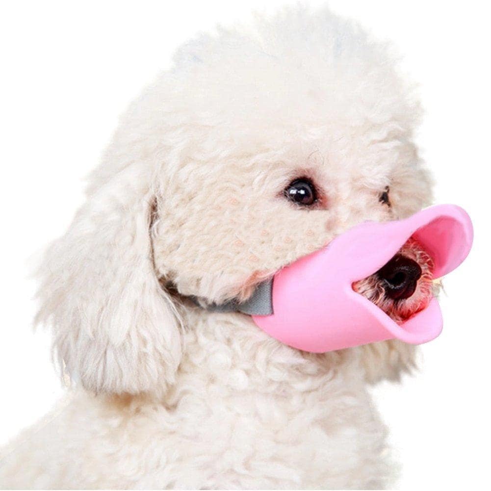 til hund lang næse Pink Grå Størrelse M | Elgiganten