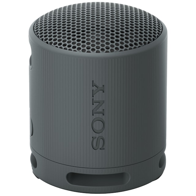 Sony SRS-XB100 trådløs bærbar højttaler (sort)