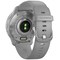 Garmin Venu 2 Plus AMOLED smartwatch (puddergrå)
