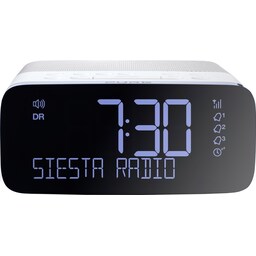 Pure Siesta Rise radio