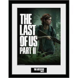 Play The Last of Us II plakat