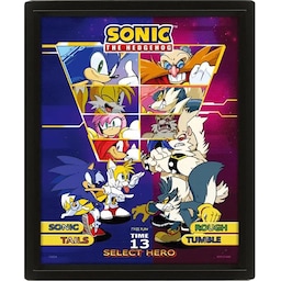 Pan Vision Pindsvinet Sonic 3D-plakat (Fighter)