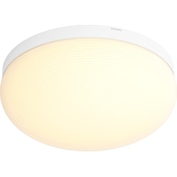 Philips Hue Flourish loftslys 4090531P9