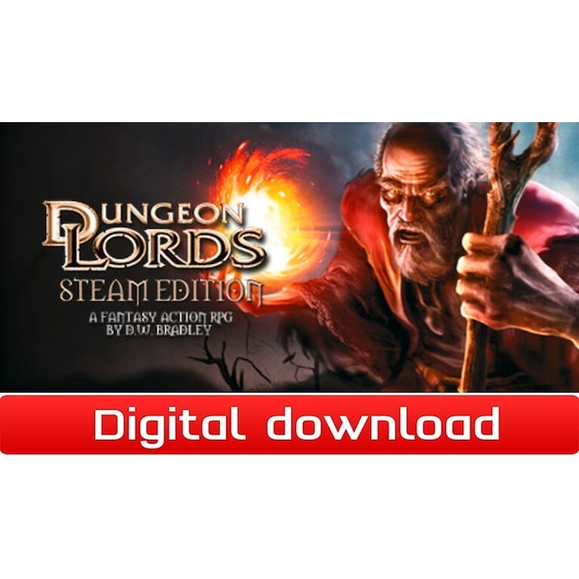 Dungeon Lords Steam Edition - PC Windows