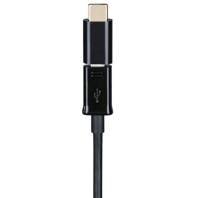 HAMA USB Adapter USB-C Han-Micro Hun Guldbelagt TL