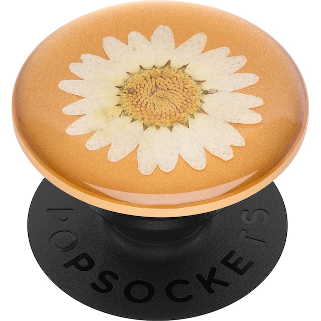 Popsockets Premium greb t. mobile enheder (pressed flower white daisy)
