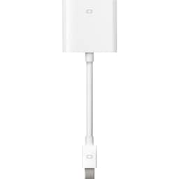Apple mini-D.P. - DVI Adapter