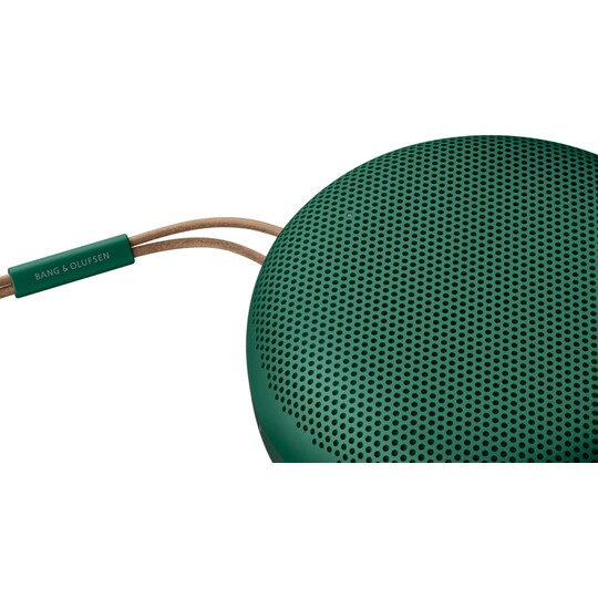 B&O Beosound A1 2nd Gen trådløs højttaler (grøn) | Elgiganten