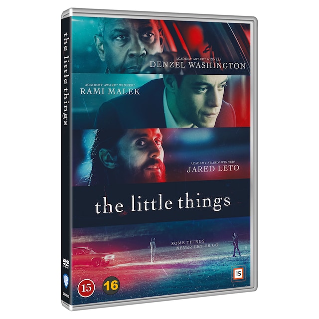 THE LITTLE THINGS (DVD)