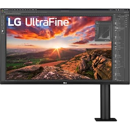 LG UltraFine Ergo 32UN880 31,5" skærm (sort)