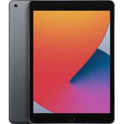 iPad 10,2" (2020) 128 GB WiFi (space grey)