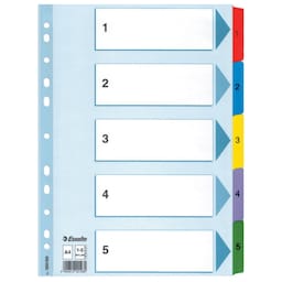 ESSELTE Register Mylar A4/1-5