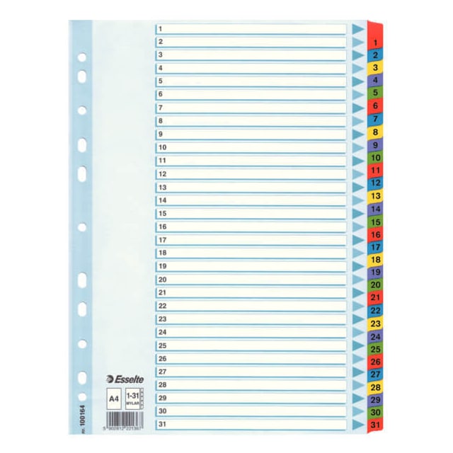 ESSELTE Register Mylar A4/1-31 Multifarvet