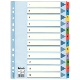 ESSELTE Register Mylar A4/1-12 Multifarvet