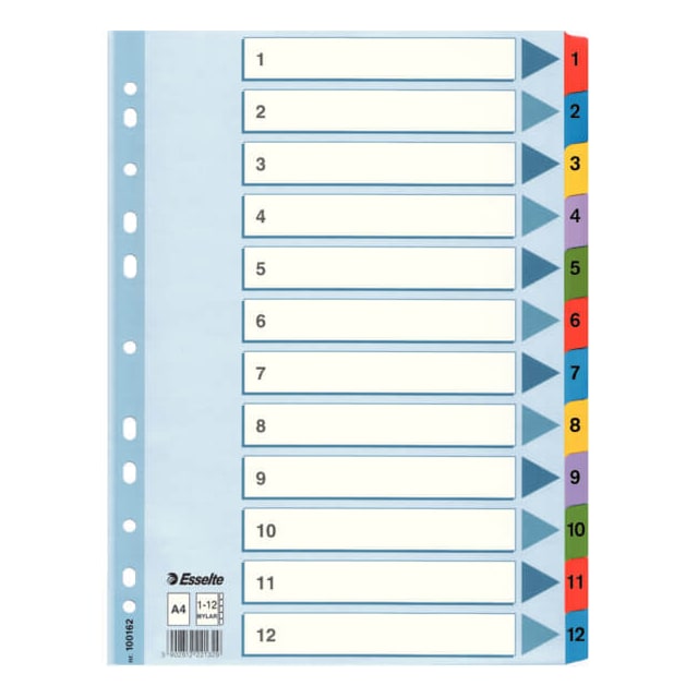 ESSELTE Register Mylar A4/1-12 Multifarvet