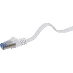 Renkforce RF-4149849 RJ45 Netværkskabel, patchkabel CAT