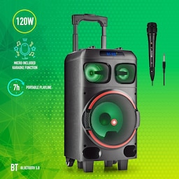 Partyspeaker Wilddub0 120W batteri BT TWS mic-in