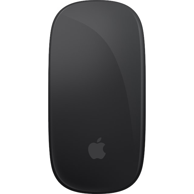 Apple Magic Mouse 2 (sort)