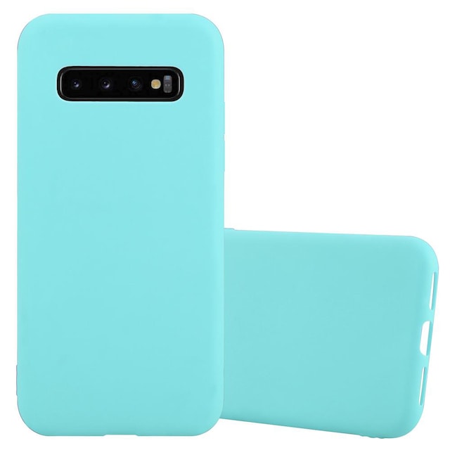 Cover Samsung Galaxy S10 PLUS Etui Case (Blå)