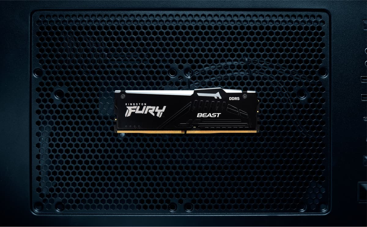 Kingston FURY Beast RGB 32GB DDR5 RAM 6000MT/s CL30 (sort)