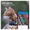 Tractive CAT Mini GPS tracker til kat (blå)