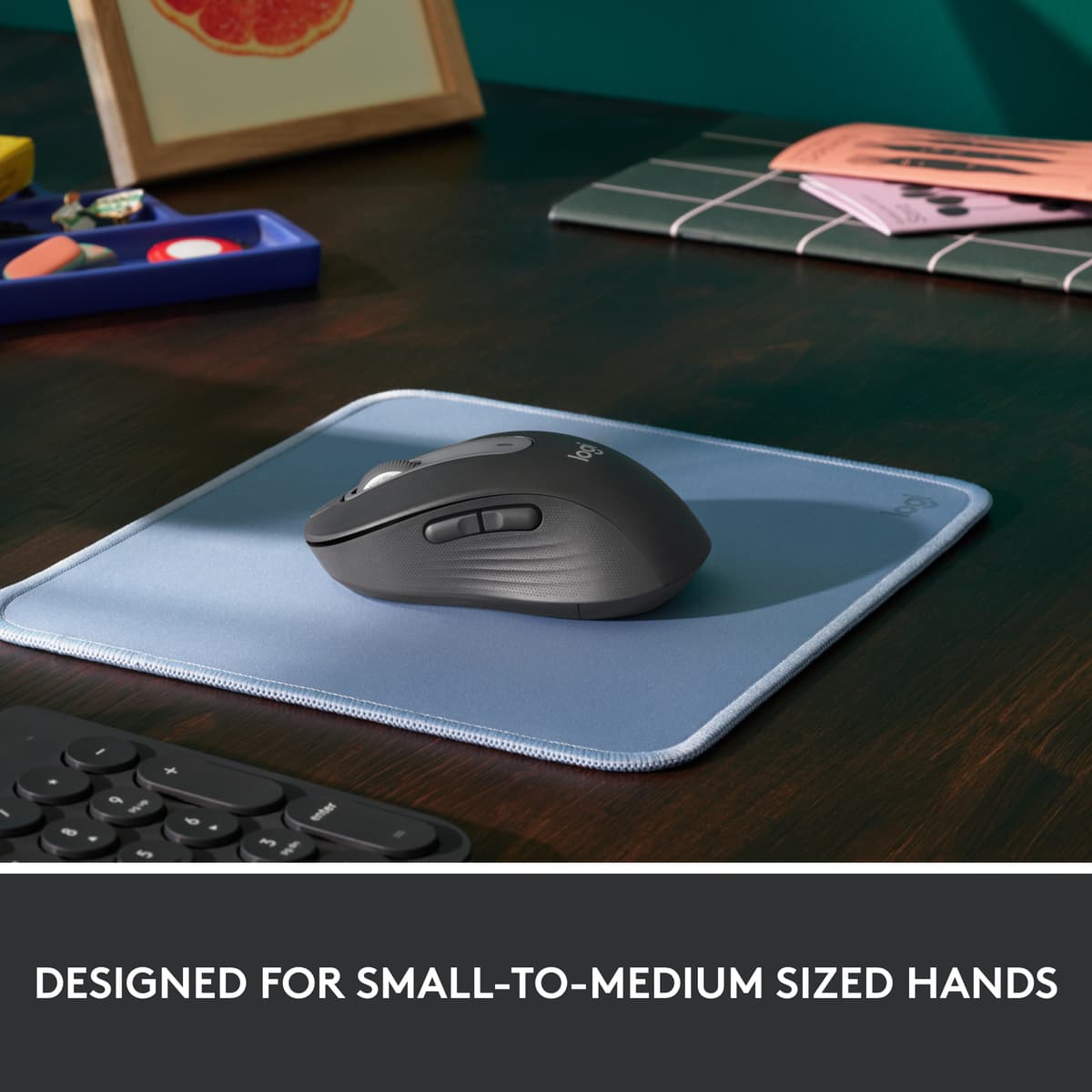 Logitech Signature M650 Large Wireless Mouse (Graphite)