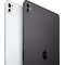 iPad Pro 11" (2024) 256GB WiFi + 5G (Space Black)