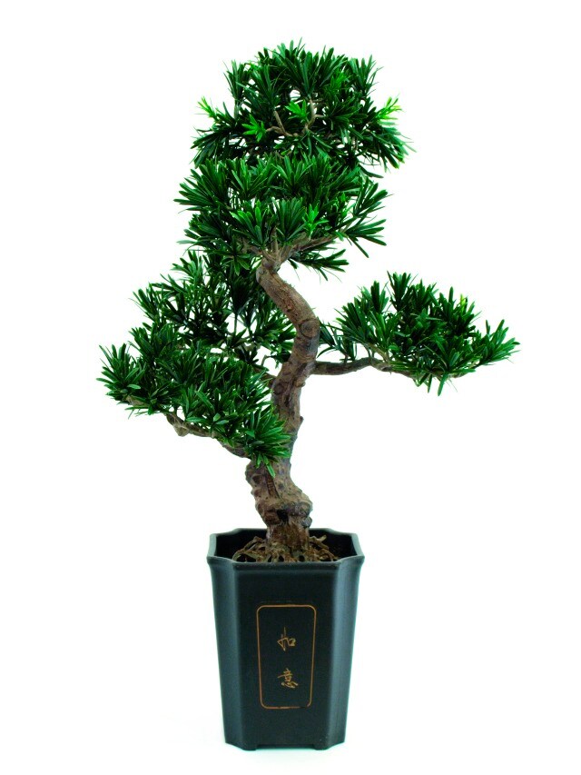 Kunstig bonsai podocarpus, 80 cm. - Andet Udstyr & Tilbehør - Elgiganten