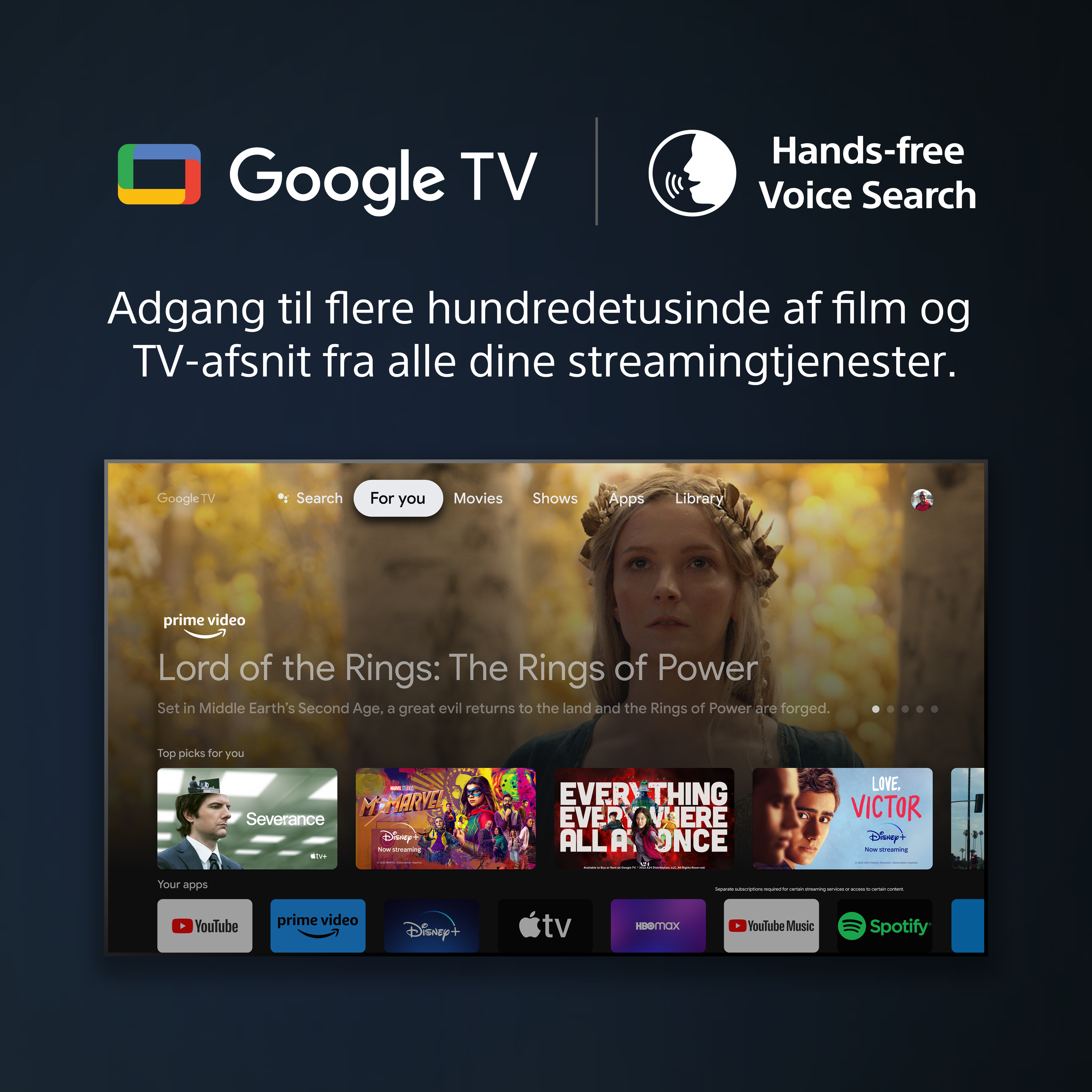 Sony A95L - Google TV & Voice Search