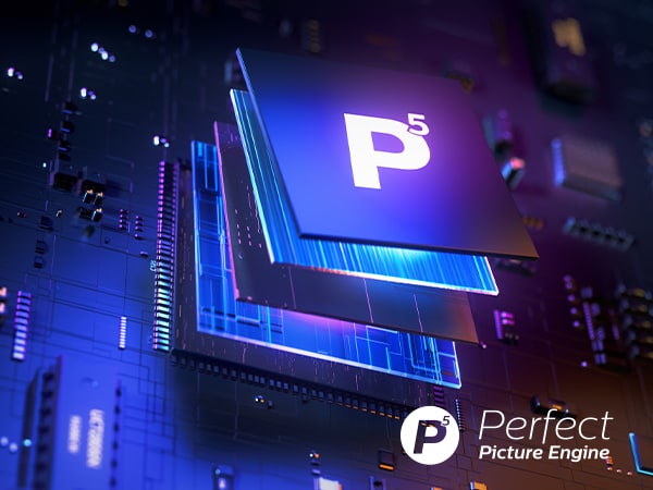 P5 Perfect Picture-processor
