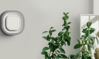 Aura Air system på grå væg ved siden af plante