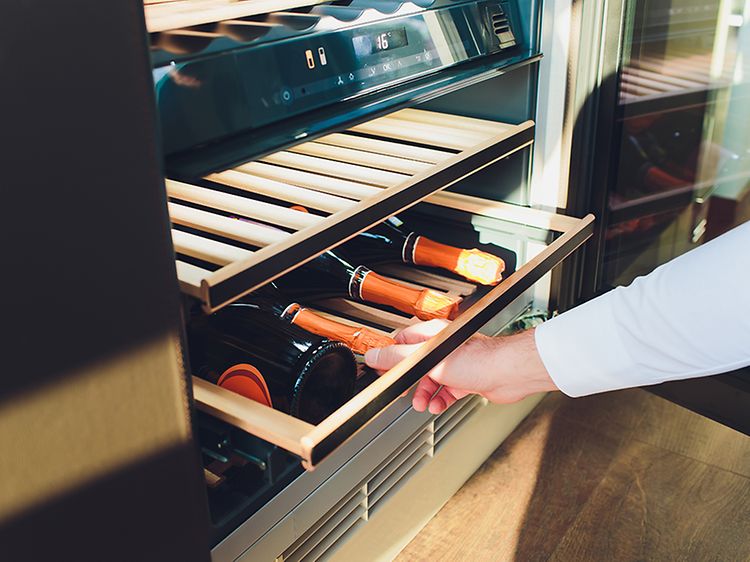 Guide: Sådan vælger du det rigtige vinkøleskab | Elgiganten