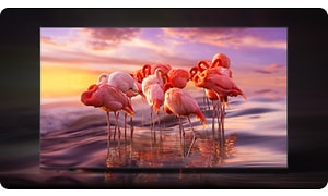 Samsung QLED TV -  4K