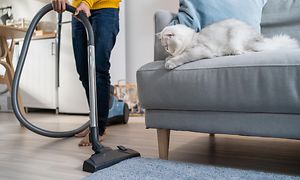 Støvsugere til kæledyrshår - Person støvsuger mens en kat ligger på sofaen